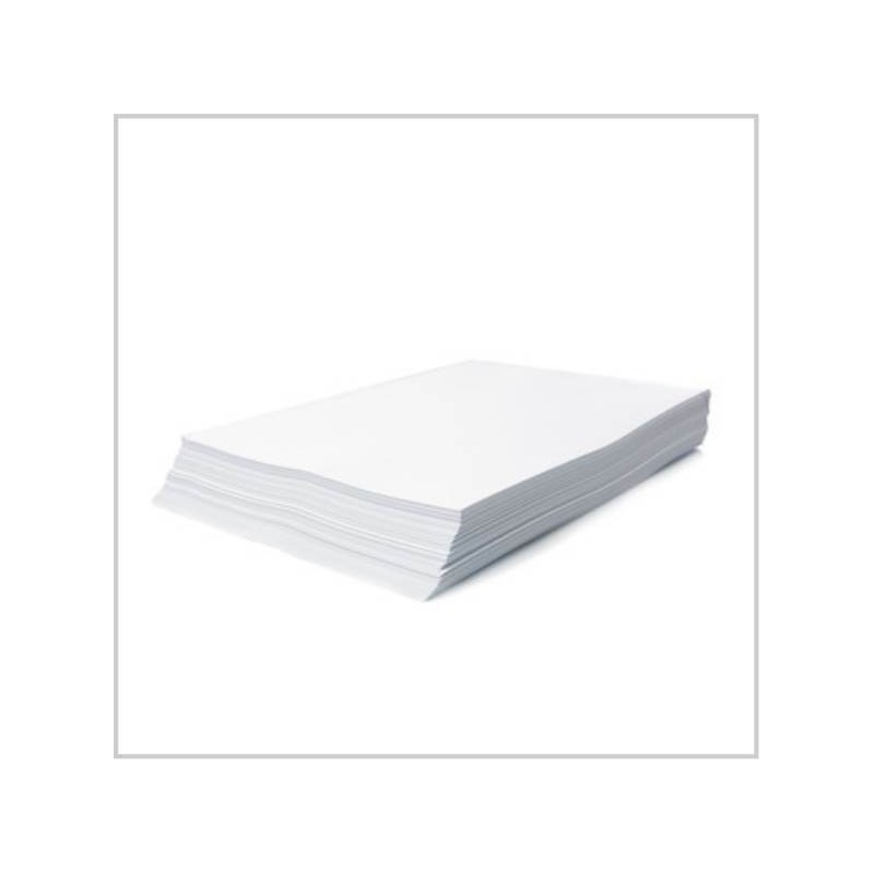 Ramette de papier - 125 feuilles A4 21 x 29.7 cm - 300 g/m² - DCP -  Clairefontaine - Blanc