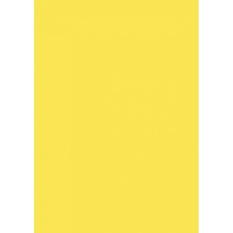 Papier cartonné jaune moutarde Natural A4 325g 10 feuilles - Mille et Une  Feuilles