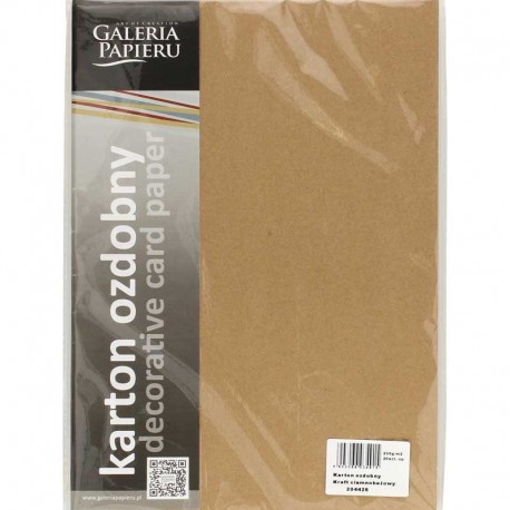 20 feuilles de papier cartonné Kraft A4 beige 230 gr/m² 