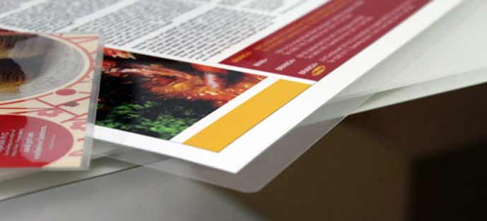 Guide complet pour réussir la plastification de vos documents